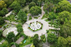 Ruang Terbuka Hijau: Paru-Paru Kota yang Menjaga Keseimbangan Lingkungan