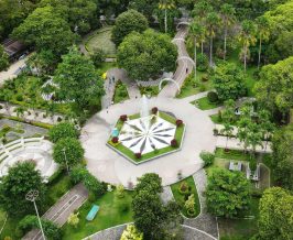 Ruang Terbuka Hijau: Paru-Paru Kota yang Menjaga Keseimbangan Lingkungan