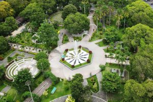 Ruang Terbuka Hijau: Paru-Paru Kota yang Menjaga Keseimbangan Lingkungan