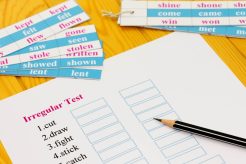 regular dan irregular verb